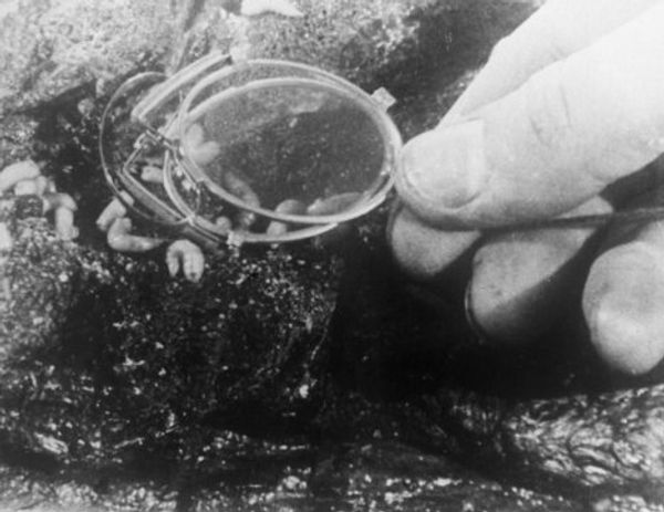 The Battleship Potemkin: A revolution in film The Battleship Potemkin: A revolution in film - Sputnik International