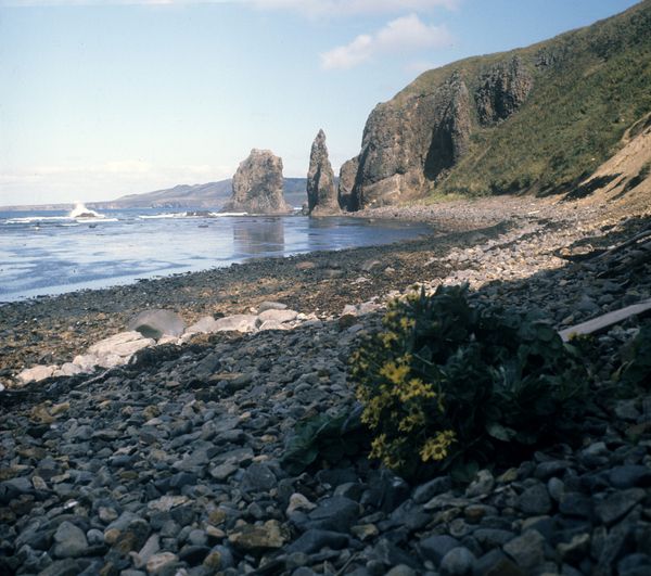 The South Kuril Islands - Sputnik International