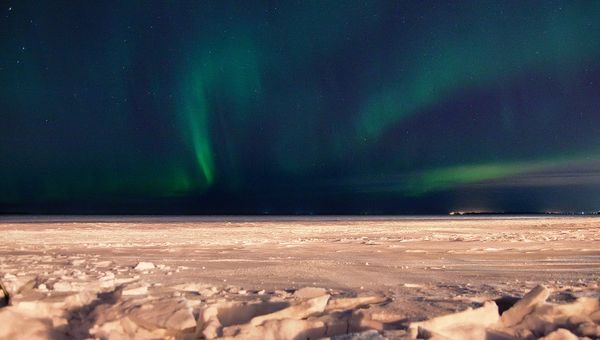 The Northern Lights paint the skies of Arkhangelsk - Sputnik International