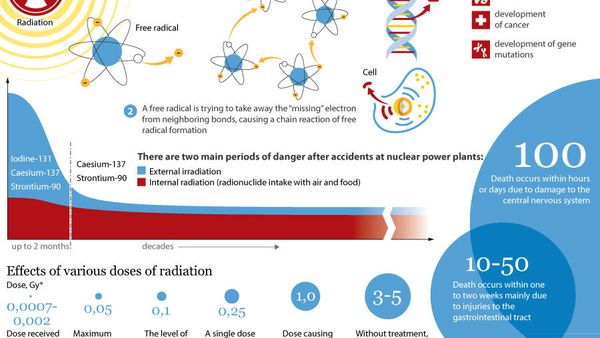 Effects of radiation on the human body - Sputnik International