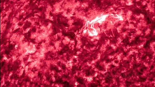 The Sun is “waking up” The Sun is “waking up” - Sputnik International