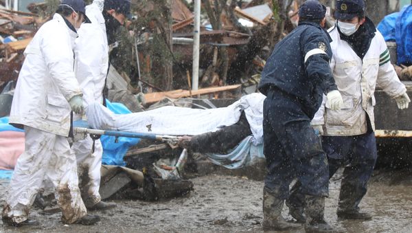 Consequences of the Japanese quake - Sputnik International