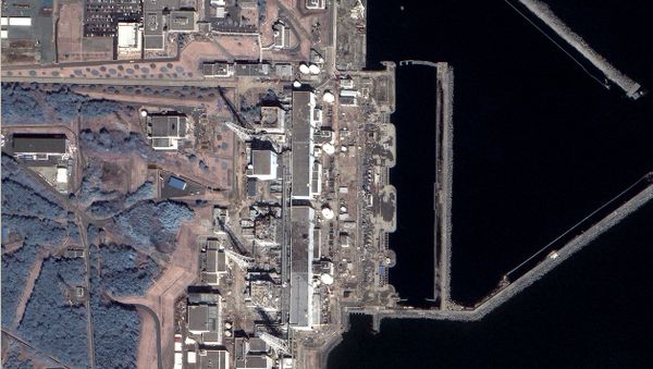 Fukushima Nuclear Power Plant - Sputnik International