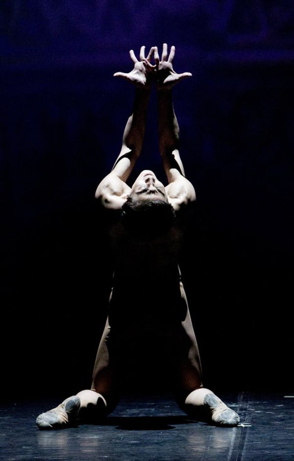 The best of the best flock to St. Petersburg for the Dance Open ballet festival The best of the best flock to St. Petersburg for the Dance Open ballet festival - Sputnik International