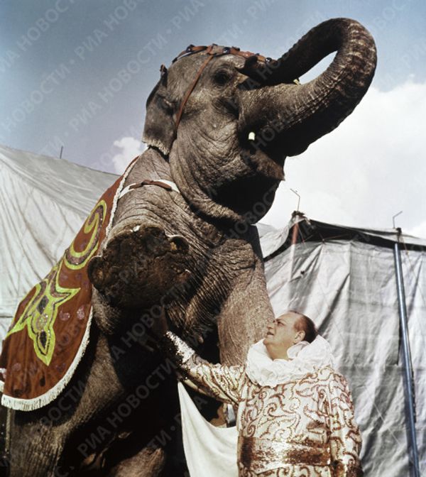 Famous circus dynasties Famous circus dynasties - Sputnik International