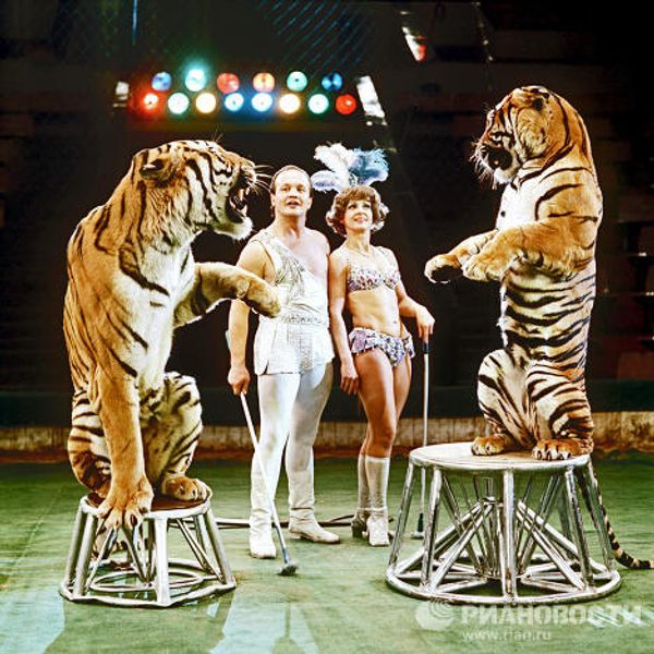 Famous circus dynasties Famous circus dynasties - Sputnik International
