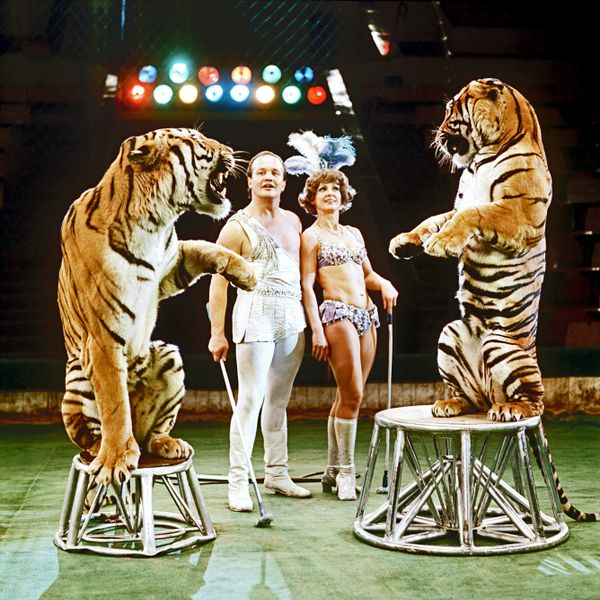 Famous circus dynasties - Sputnik International