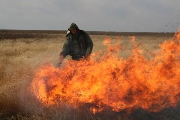 Russia's emergencies ministry extinguishes 10 wildfires in Russian Far East - Sputnik International
