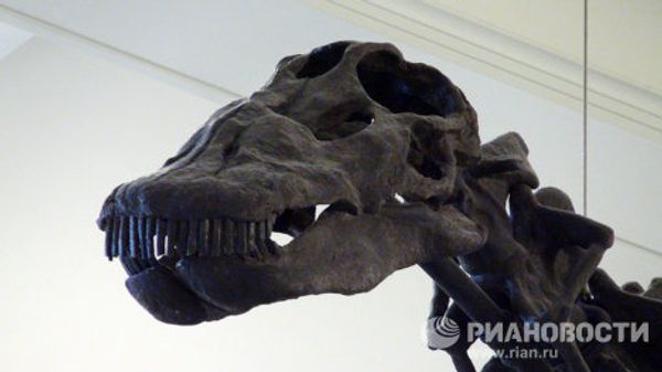 The world’s largest dinosaurs - in New York - Sputnik International
