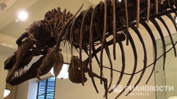 The world’s largest dinosaurs - in New York - Sputnik International