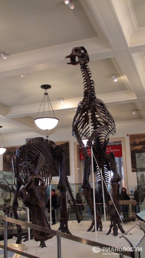 The world’s largest dinosaurs - in New York - Sputnik International