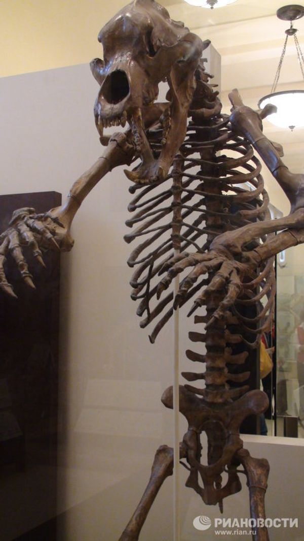 The world’s largest dinosaurs - in New York - Sputnik International