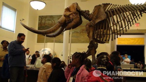 The world’s largest dinosaurs - in New York - Sputnik International