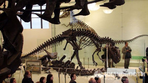 The world’s largest dinosaurs - in New York - Sputnik International