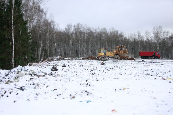 Khimki forest - Sputnik International