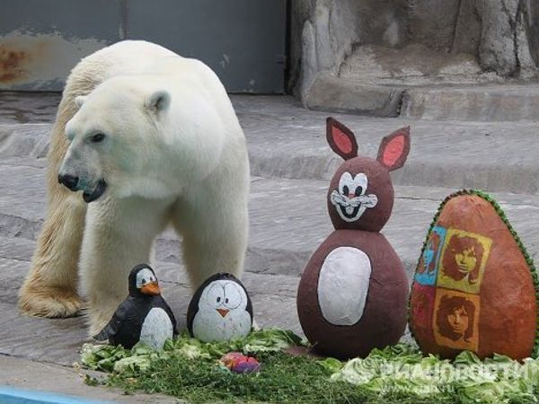 Easter presents for animals at Buenos Aires Zoo  - Sputnik International