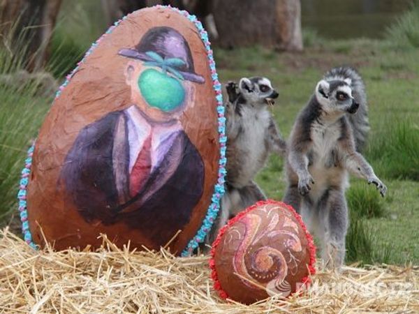 Easter presents for animals at Buenos Aires Zoo  - Sputnik International