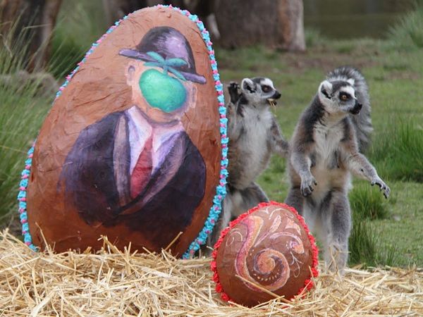 Easter presents for animals at Buenos Aires Zoo  - Sputnik International