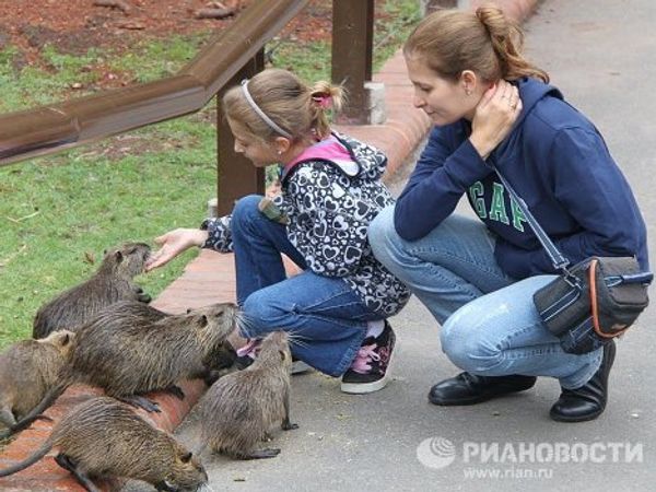 Easter presents for animals at Buenos Aires Zoo  - Sputnik International