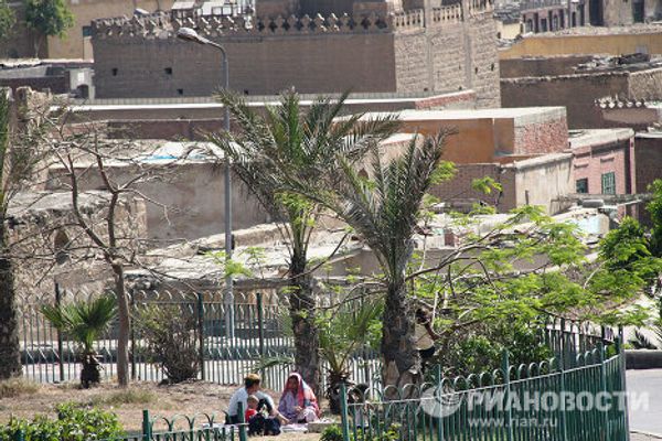 Egypt celebrates the arrival of spring  - Sputnik International