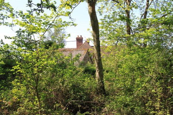 Bucklebury, the village that give Britain its future queen - Sputnik International