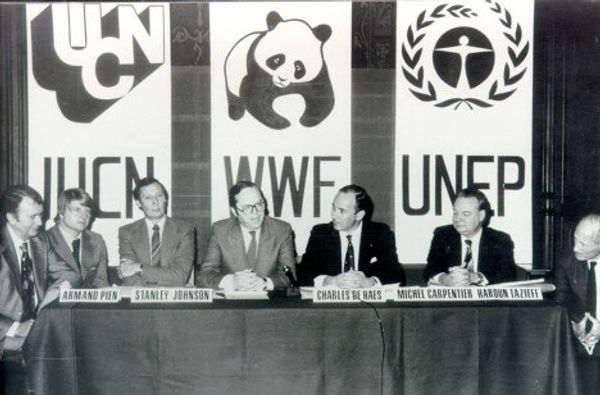 World Wildlife Fund marks 50th anniversary  - Sputnik International