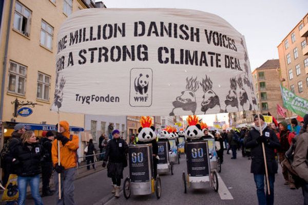 World Wildlife Fund marks 50th anniversary  - Sputnik International