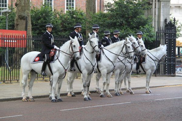 Million-strong crowd cheer royal newlyweds - Sputnik International