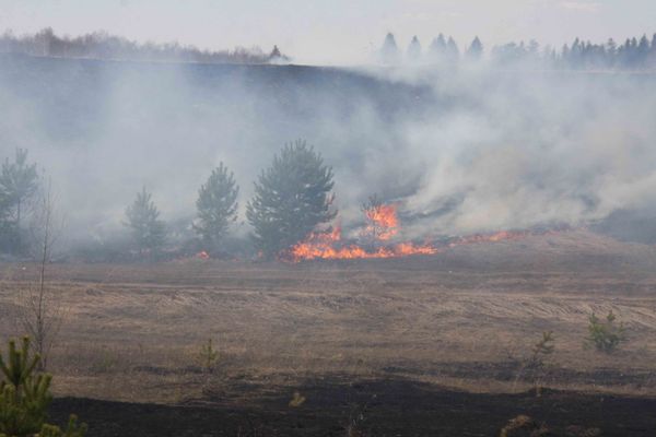 Wildfires in Russia's Far East - Sputnik International