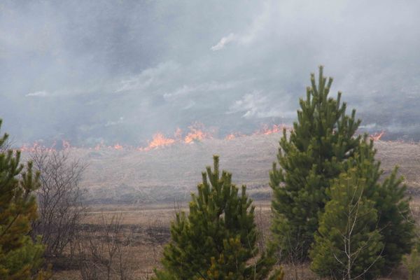 Firefighters battle raging wildfires in Siberia - Sputnik International