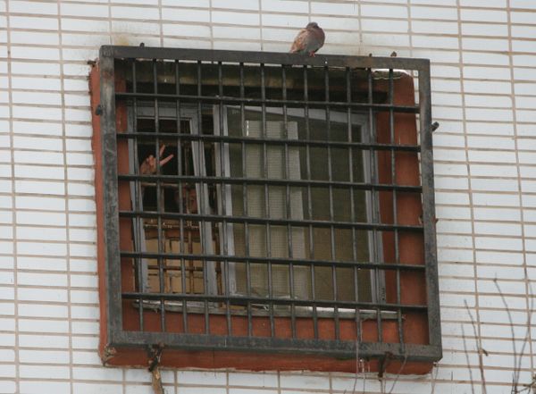 Hundreds of opposition  were detained at the December 19 demonstration. - Sputnik International