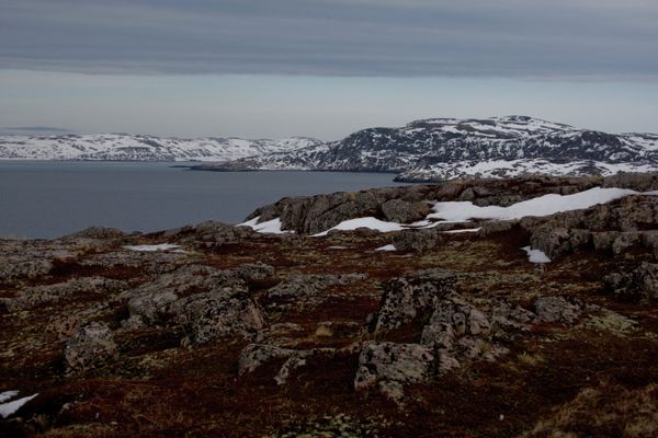 Barents Sea - Sputnik International