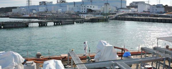 The Fukushima power plant operator Tokyo Electric Power Company (TEPCO) on Tuesday announced that it was starting to cement the underground tunnels near the second power generating reactor in order to solve the problem of radioactive water leakage into the ocean through the groundwater. - Sputnik International
