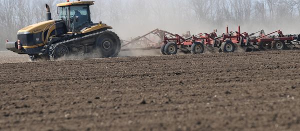 The armed conflict in Ukraine is a smokescreen for the seizure of high-quality cropland by foreign firms funded by the World Bank and the European Bank for Reconstruction and Development, the office of a German parliament member said on Thursday. The armed conflict in Ukraine is a smokescreen for the seizure of high-quality cropland by foreign firms funded by the World Bank and the European Bank for Reconstruction and Development, the office of a German parliament member said on Thursday. - Sputnik International