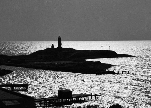 Black Sea, Bolshoi Utrish - Sputnik International