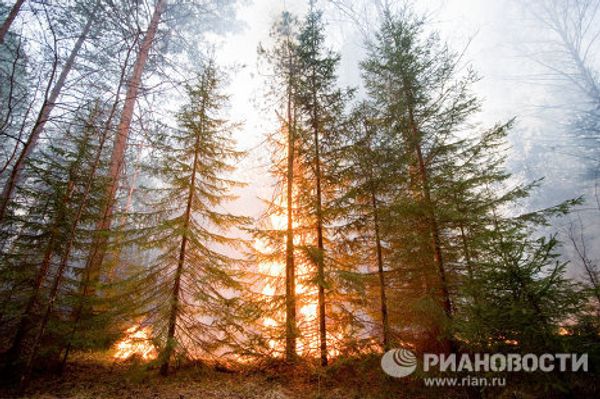 Seven days in photographs. May 14-20, 2011 - Sputnik International