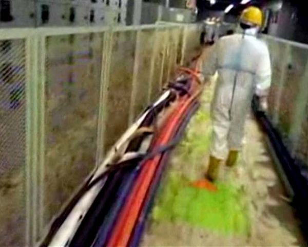 TEPCO specialists inside The Fukushima Dai-ichi complex TEPCO specialists inside The Fukushima Dai-ichi complex - Sputnik International