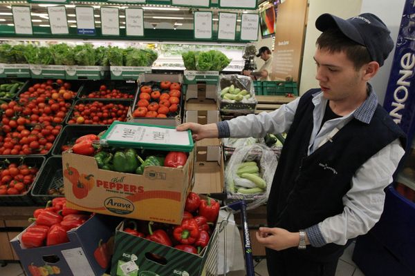 Russia to keep vegetable ban until Europe's official explanations - Sputnik International