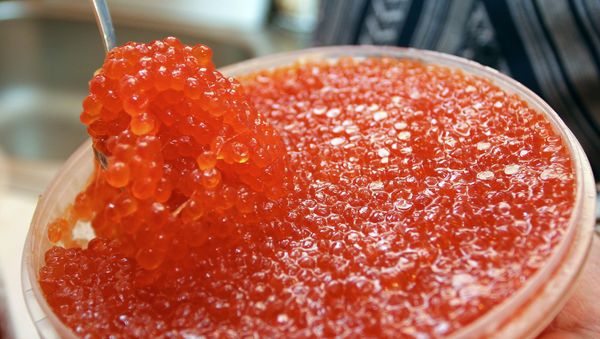Red caviar - Sputnik International