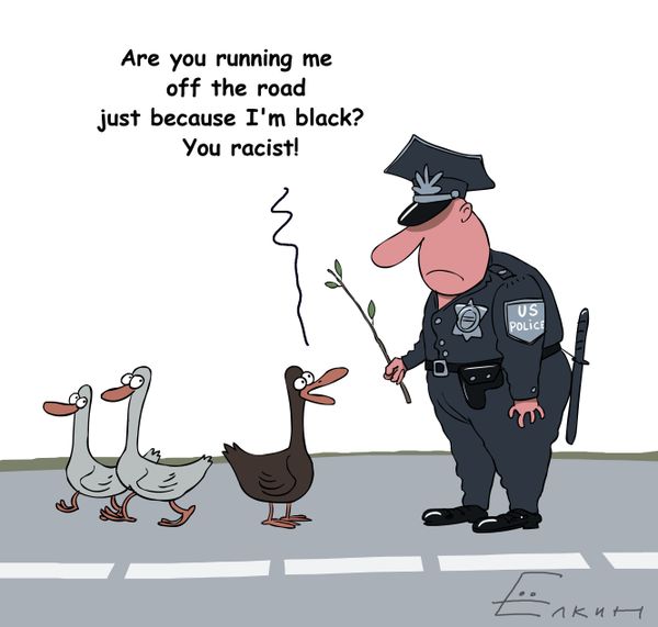 Right of way for American geese - Sputnik International