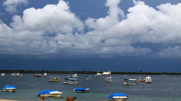 Views of Bali - Sputnik International