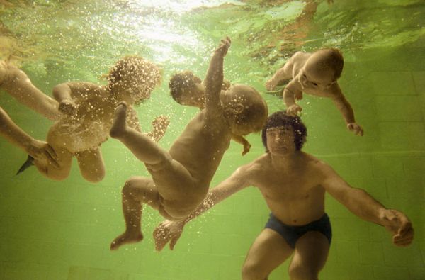 Selected works by RIA Novosti photographers for World Press Photo Awards - Sputnik International