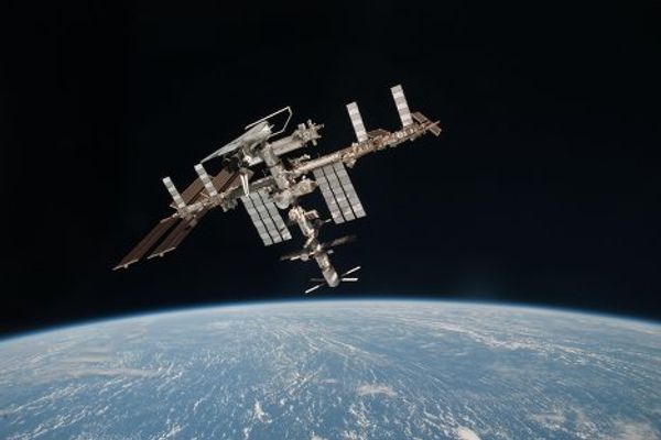 Seven days in photographs. June 4-10, 2011  - Sputnik International