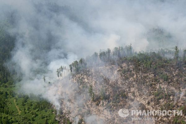 Putting out forest fires in the Krasnoyarsk Territory  - Sputnik International