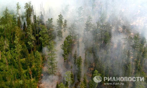 Putting out forest fires in the Krasnoyarsk Territory  - Sputnik International