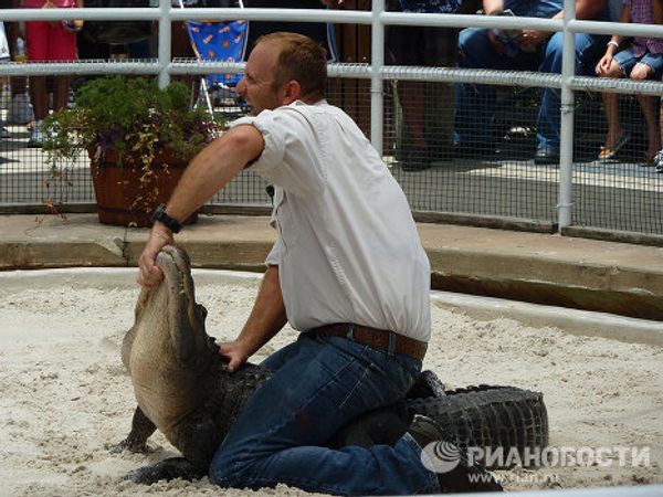  “The alligator capital of the world” Gatorland in Florida  - Sputnik International