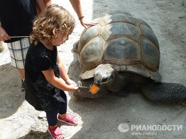  “The alligator capital of the world” Gatorland in Florida  - Sputnik International