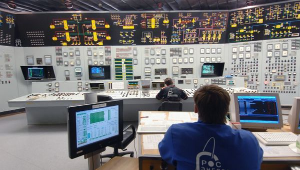 Russian electricity supplies to Belarus not resumed for technical reasons - Sputnik International
