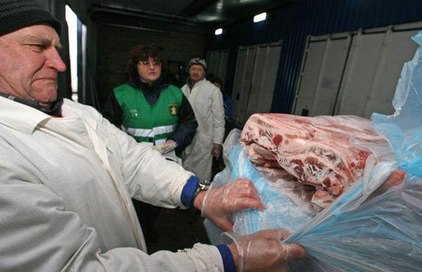 Russian veterinary experts - Sputnik International