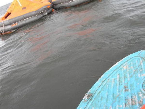 Riverboat Bulgaria rescue efforts - Sputnik International
